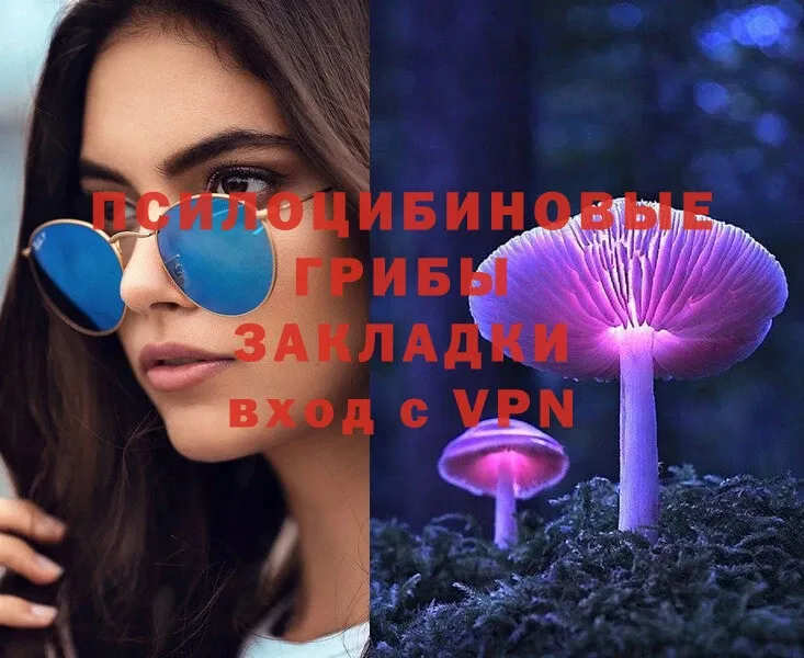 Псилоцибиновые грибы Magic Shrooms  сколько стоит  Тарко-Сале 